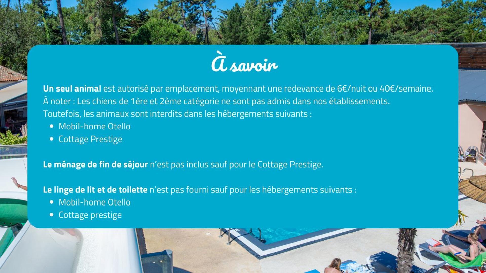 Camping Signol Boyardville Eksteriør bilde